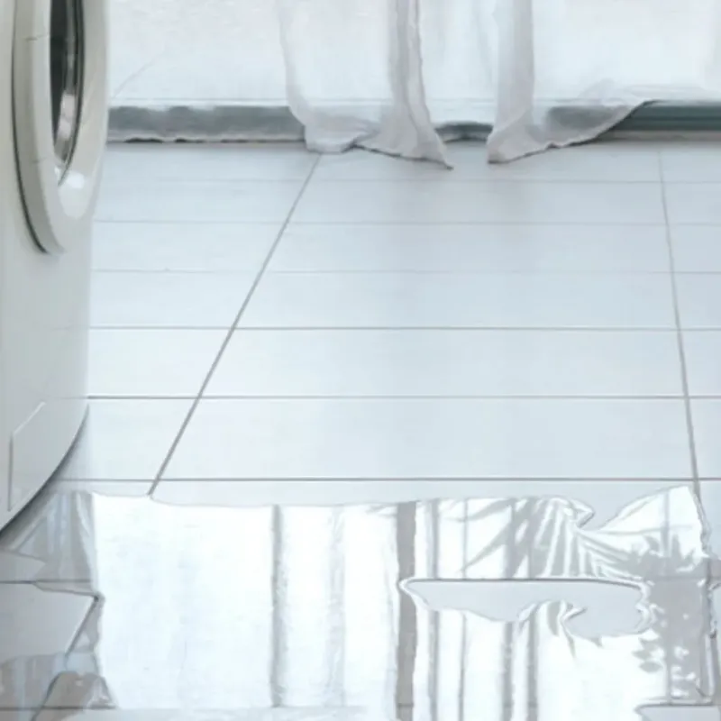 Appliance Leak Cleanup in Rossmoor, NJ
