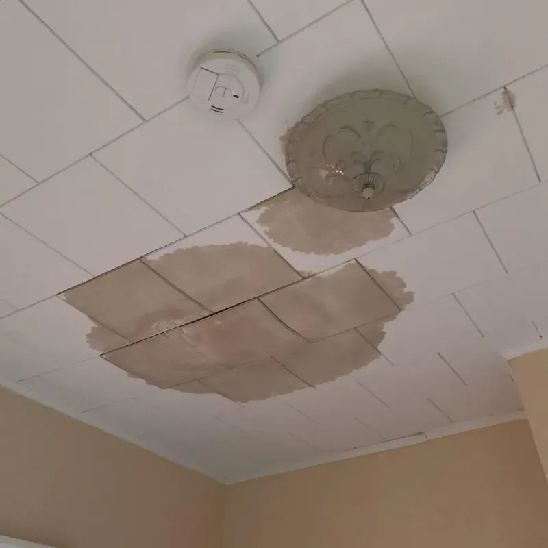 Ceiling Water Damage Repair in Rossmoor, NJ
