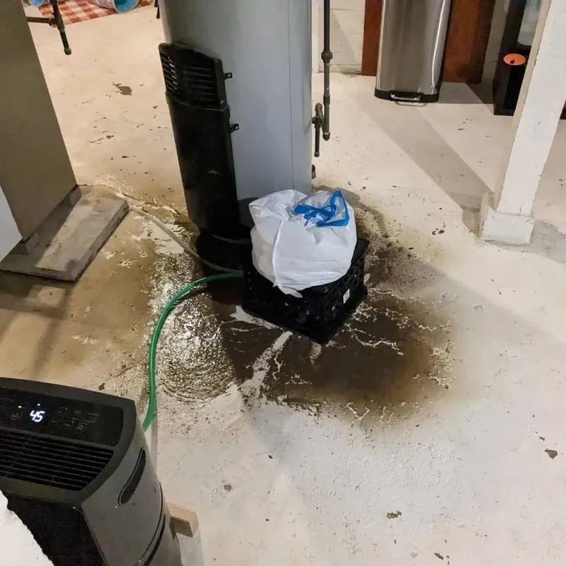 Sewage Backup Cleanup Service in Rossmoor, NJ